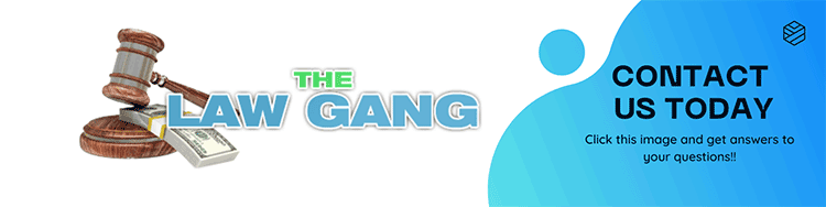 About the Law Gang